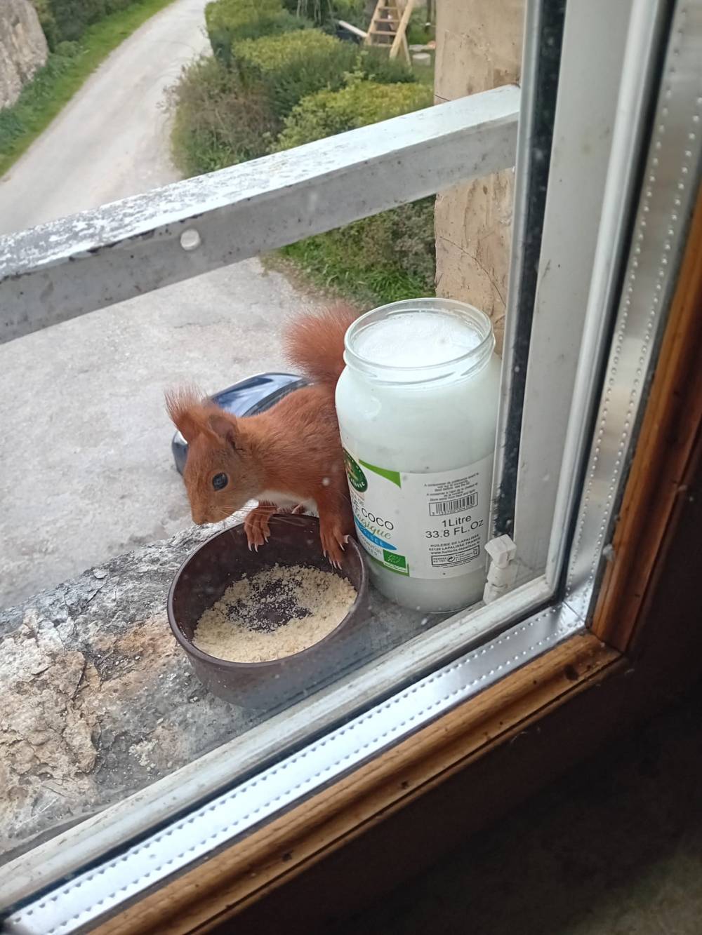 Chambre d'hôtes des Peris - Découvrez nos animaux (1).jpg